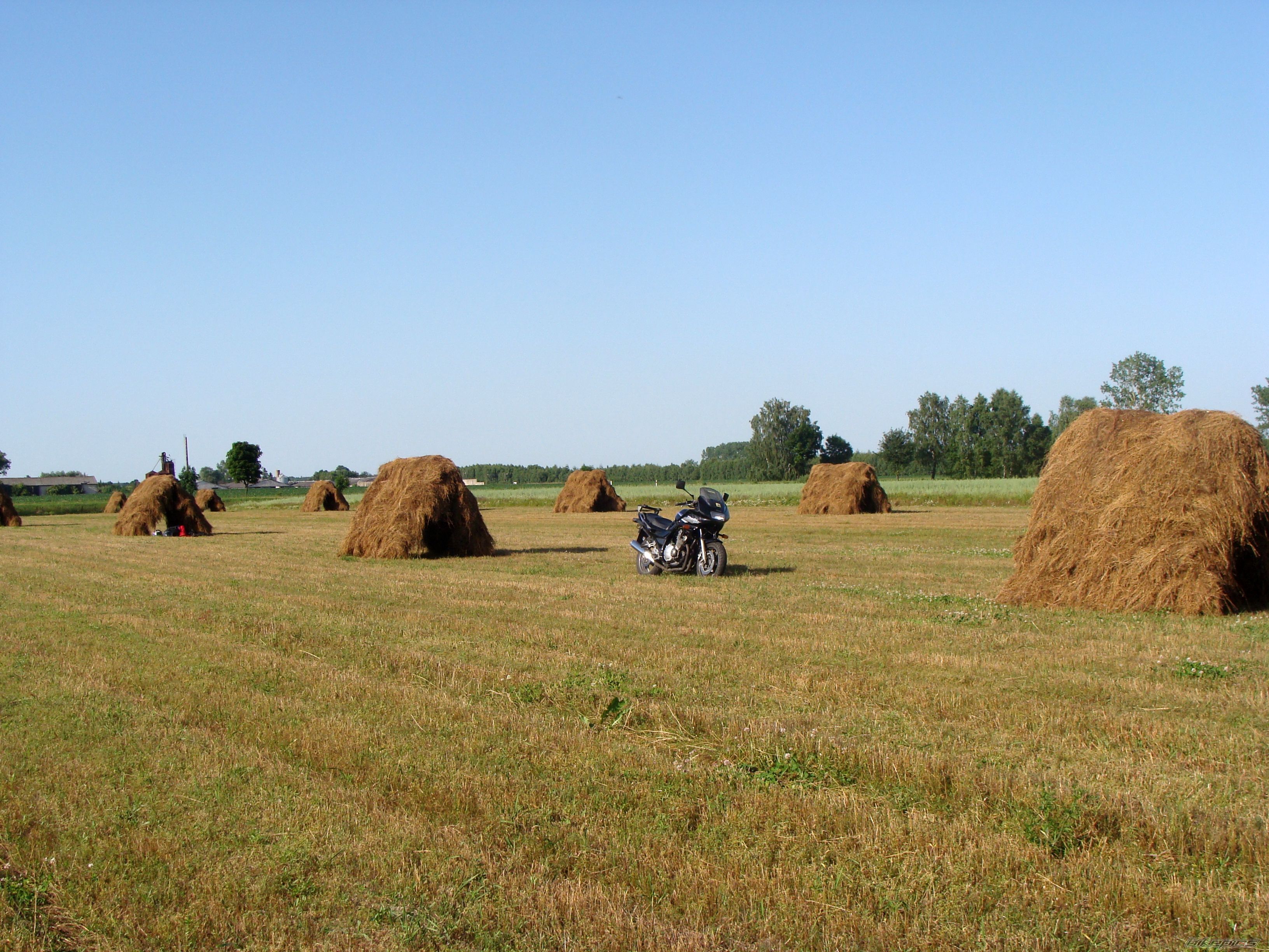 Photo 2011166