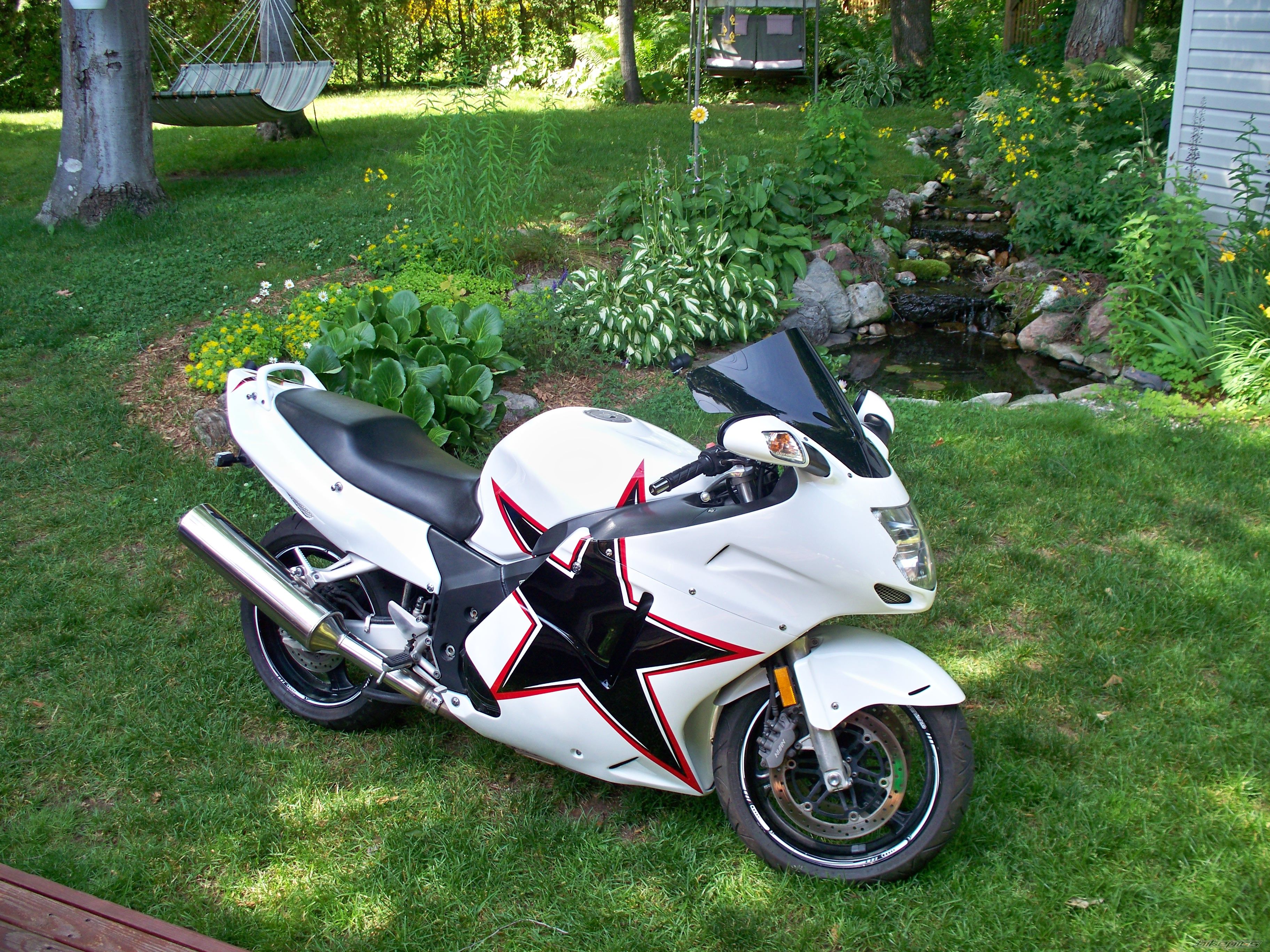 Photo 2011453