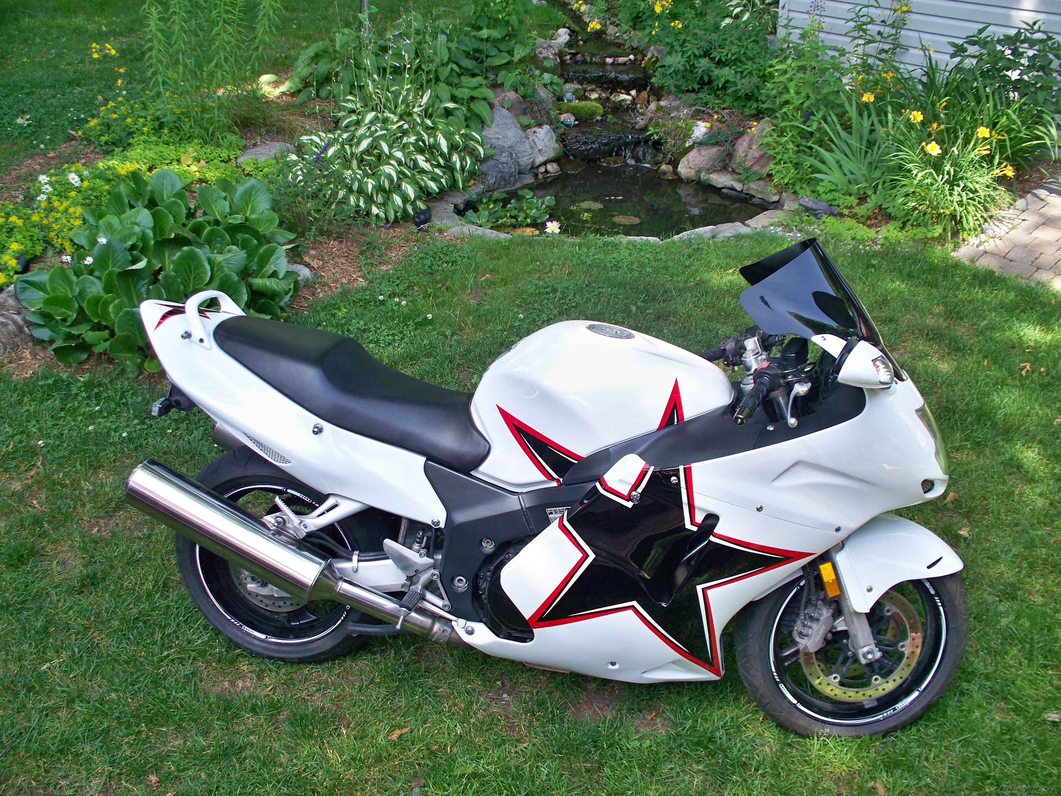Photo 2011454