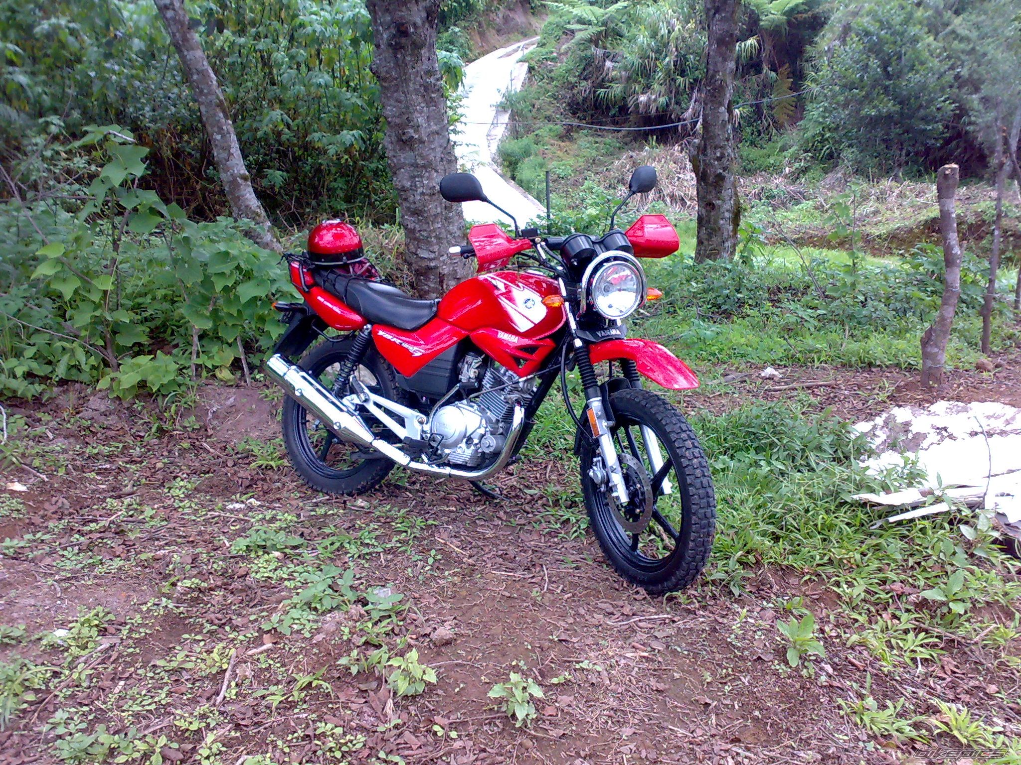 Photo 2015956