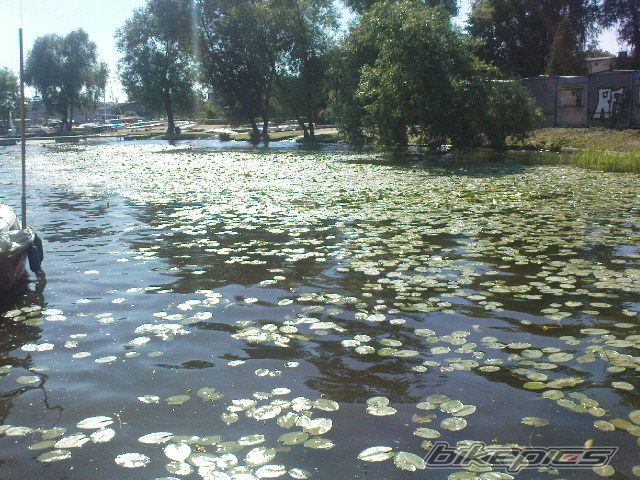 Photo 2016924