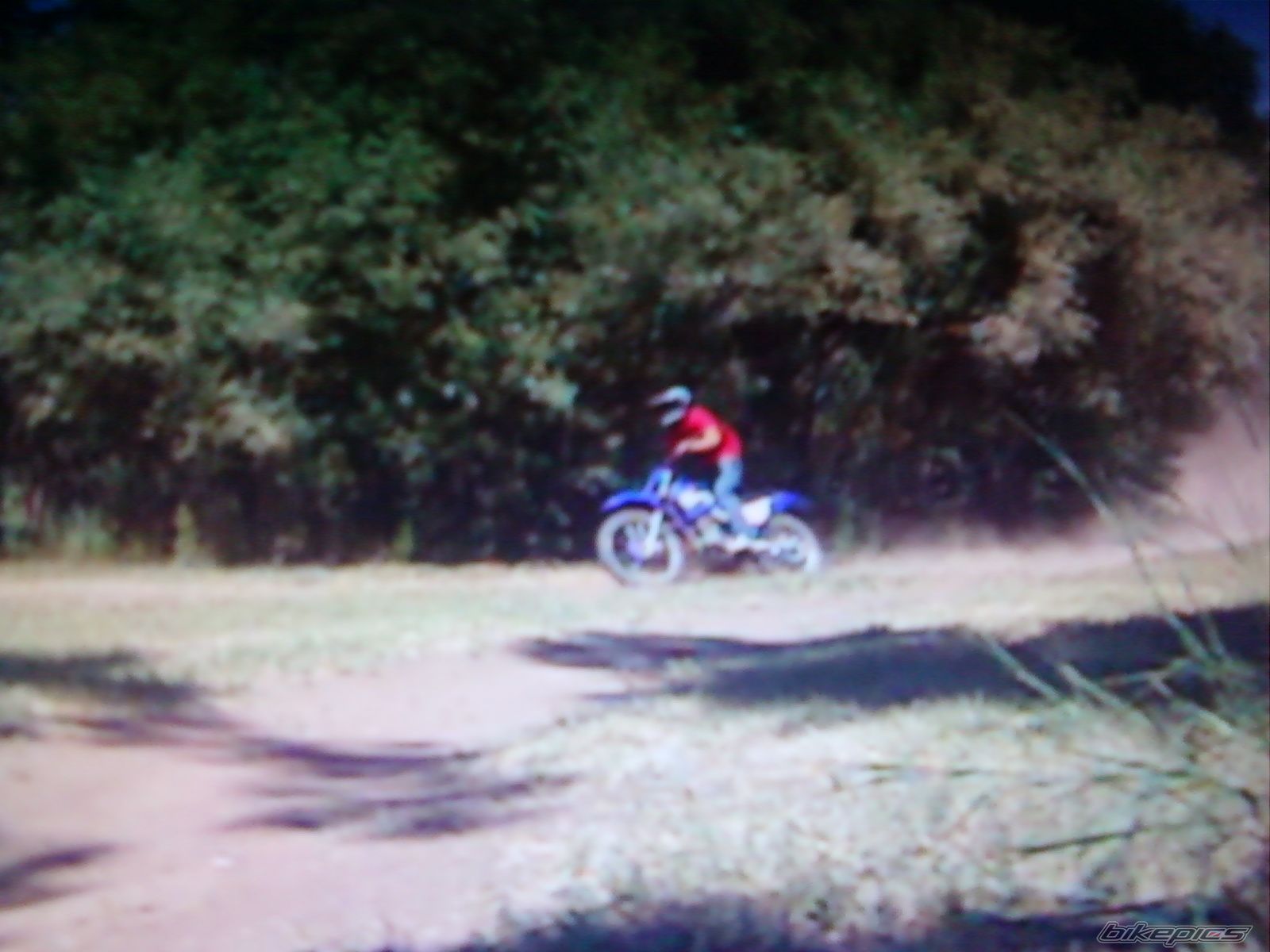 Photo 2023442