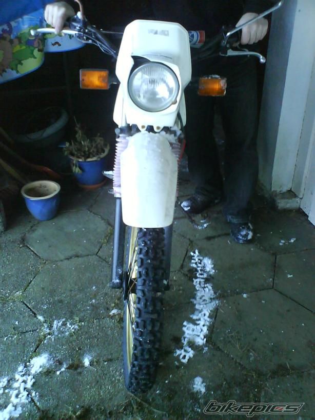Photo 2025428