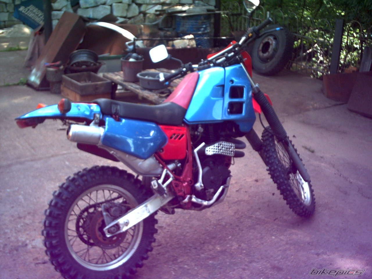 Photo 2025556