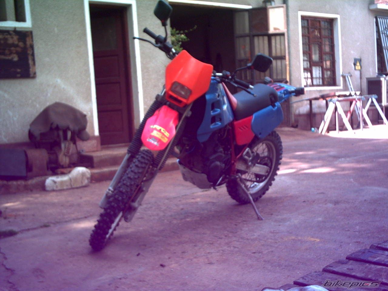 Photo 2025557