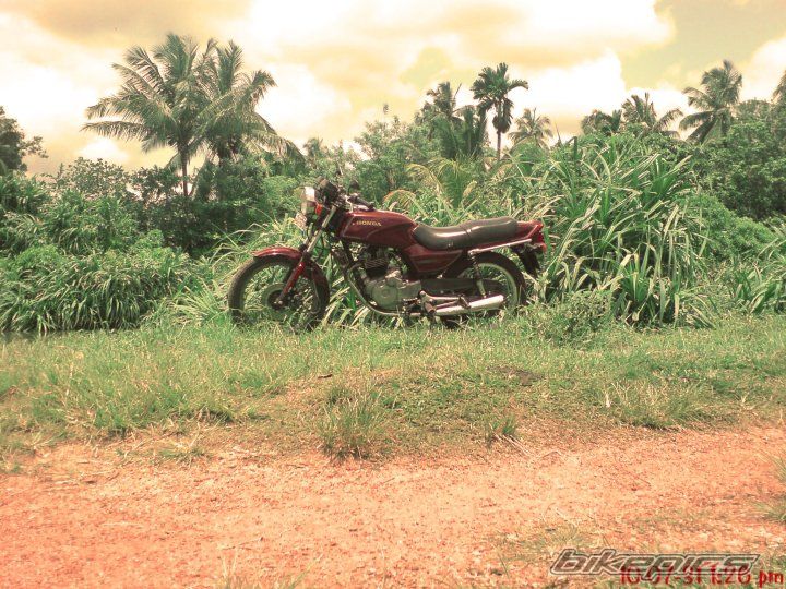 Bike Photo 2029964