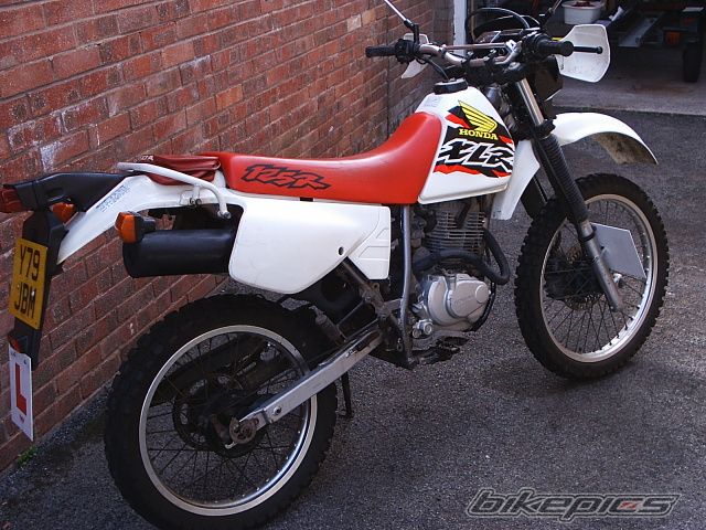 Photo 2039813