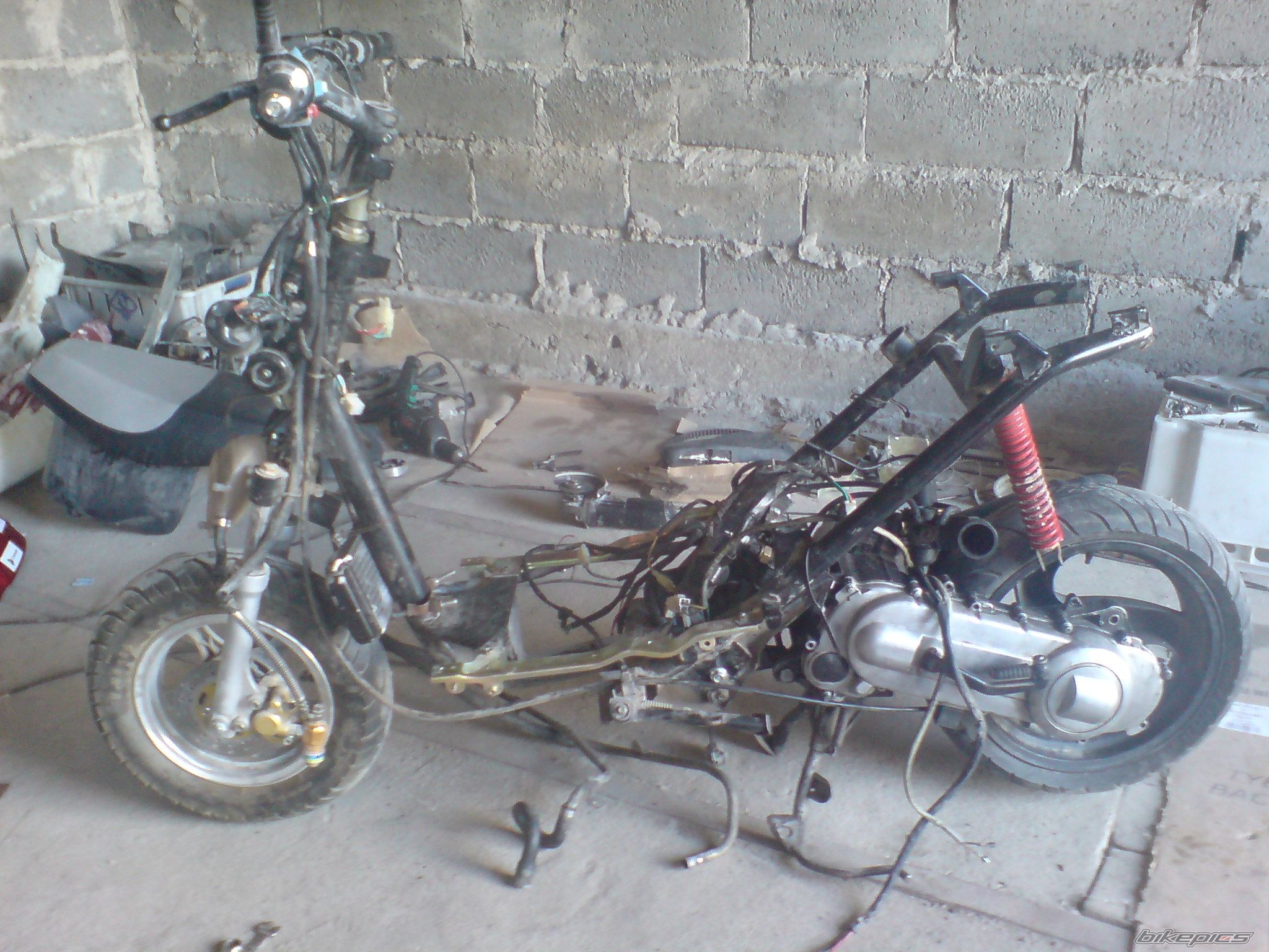 Photo 2042944