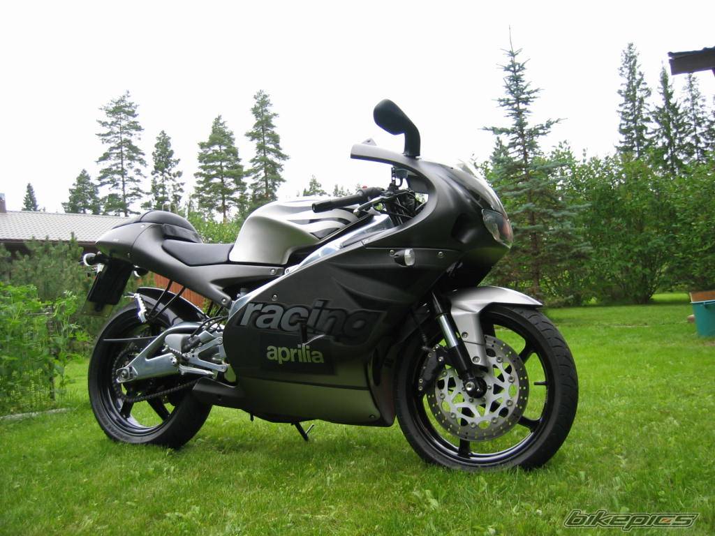 Photo 204786