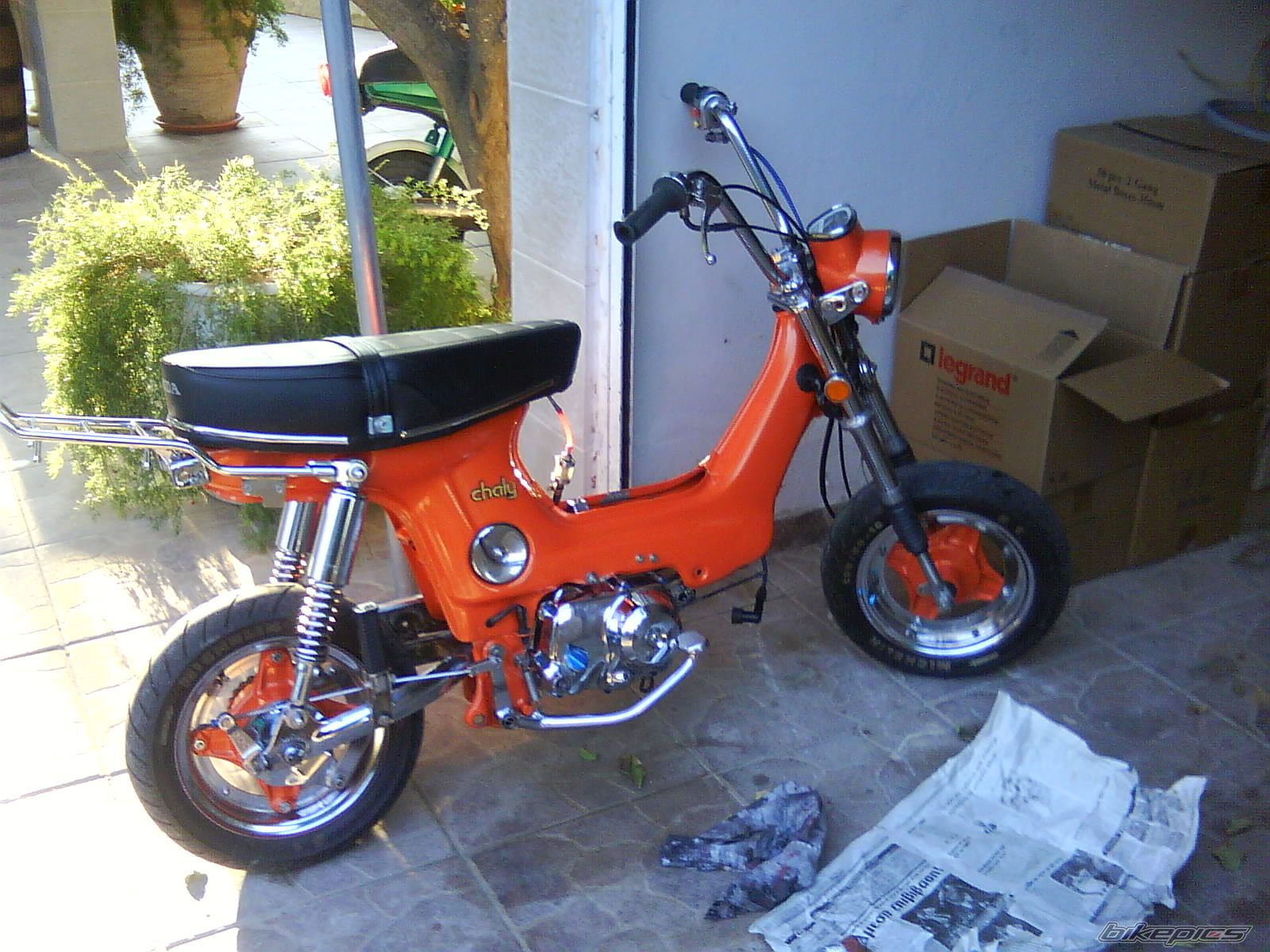 Photo 2049284