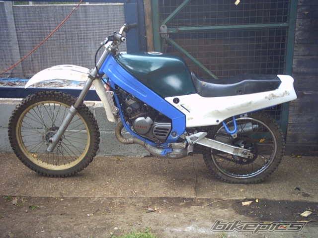Photo 204978