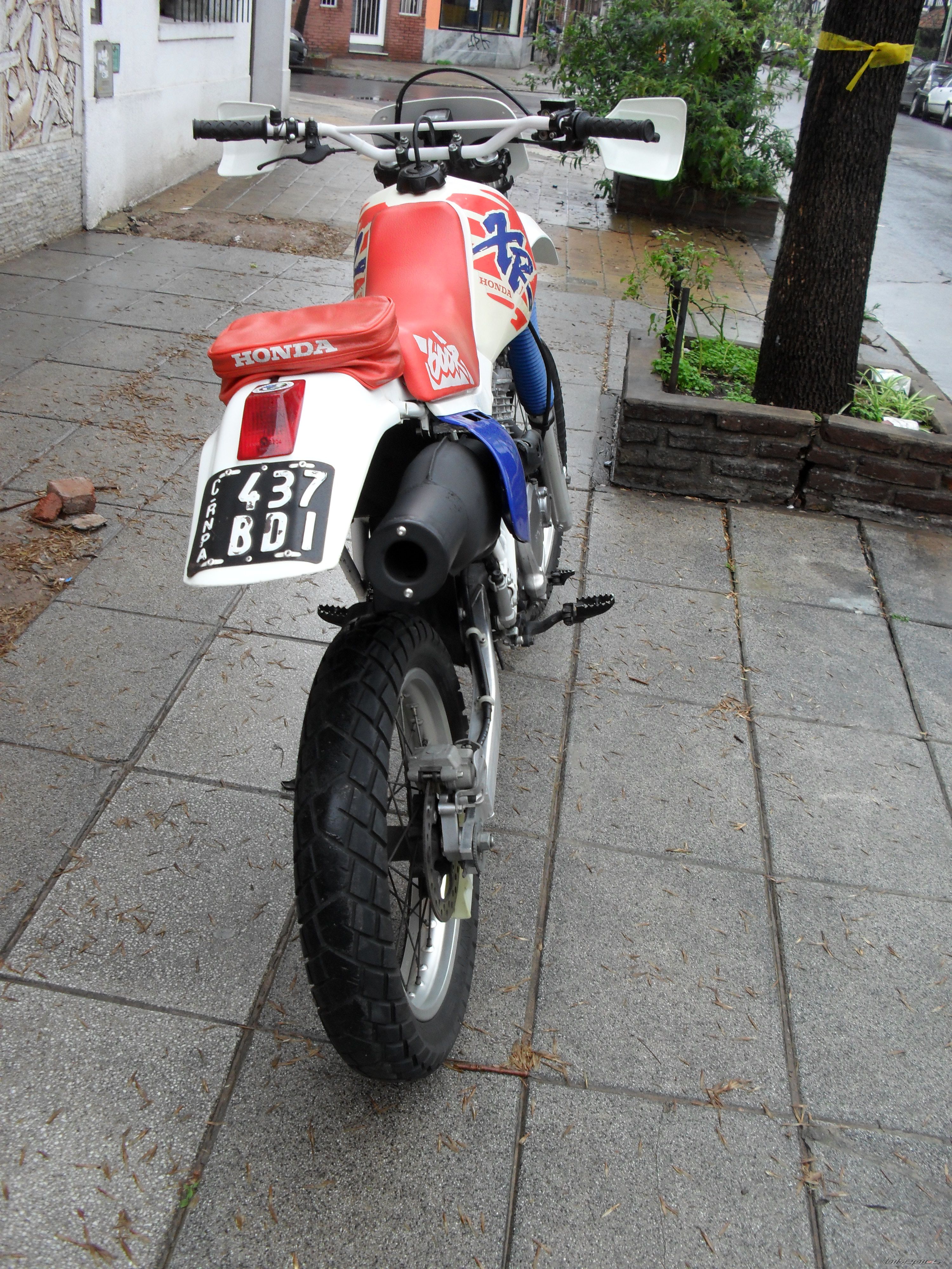 Photo 2054249