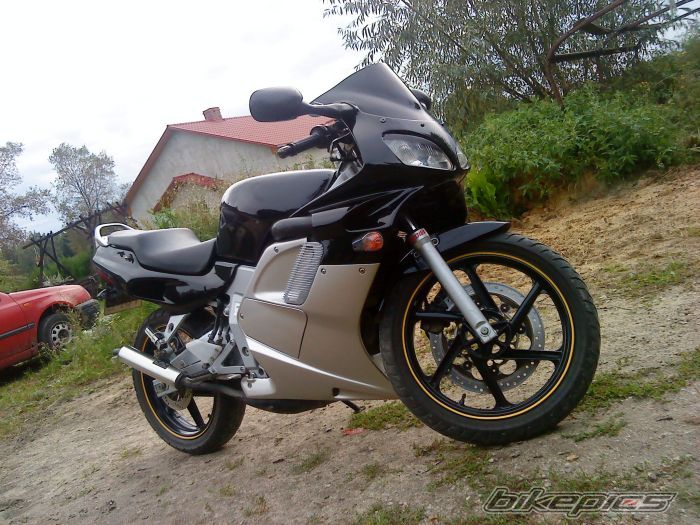 Photo 2059868