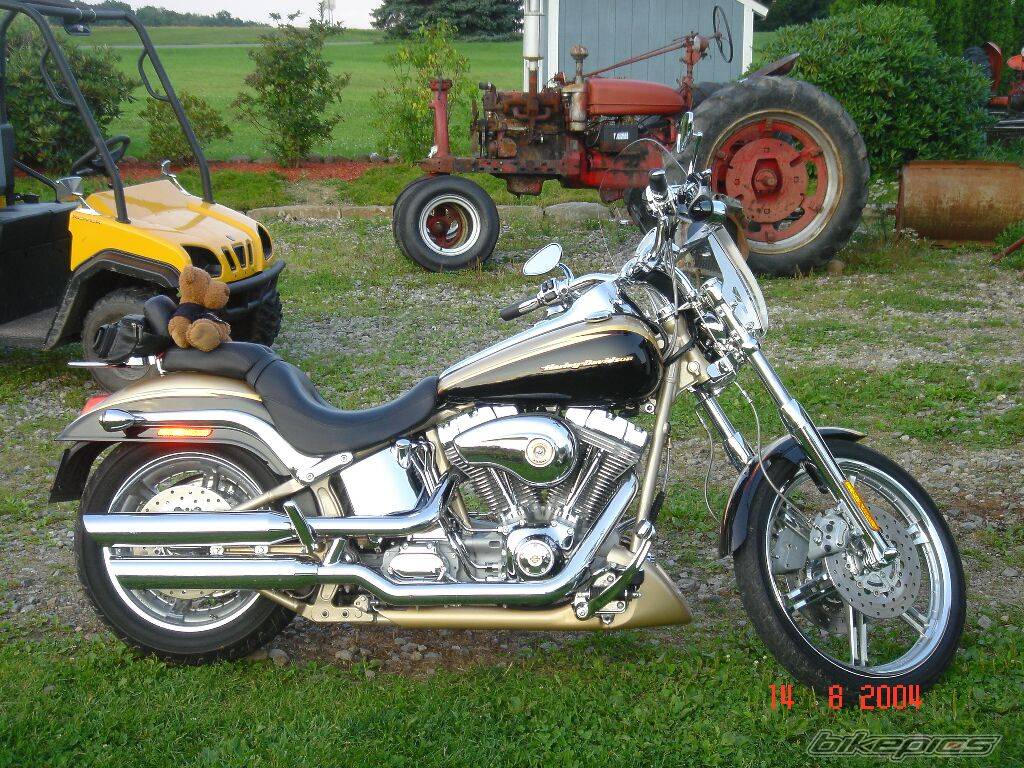 Photo 206474