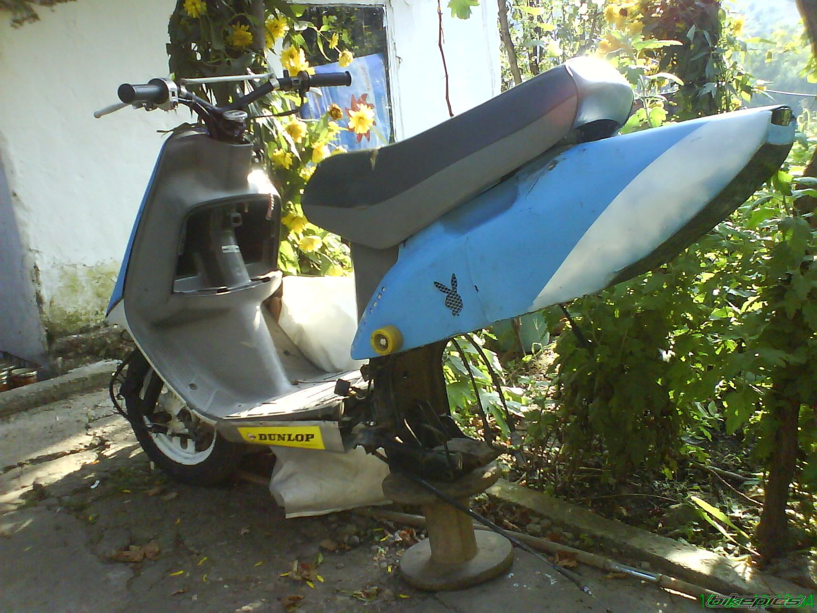 Photo 2068811