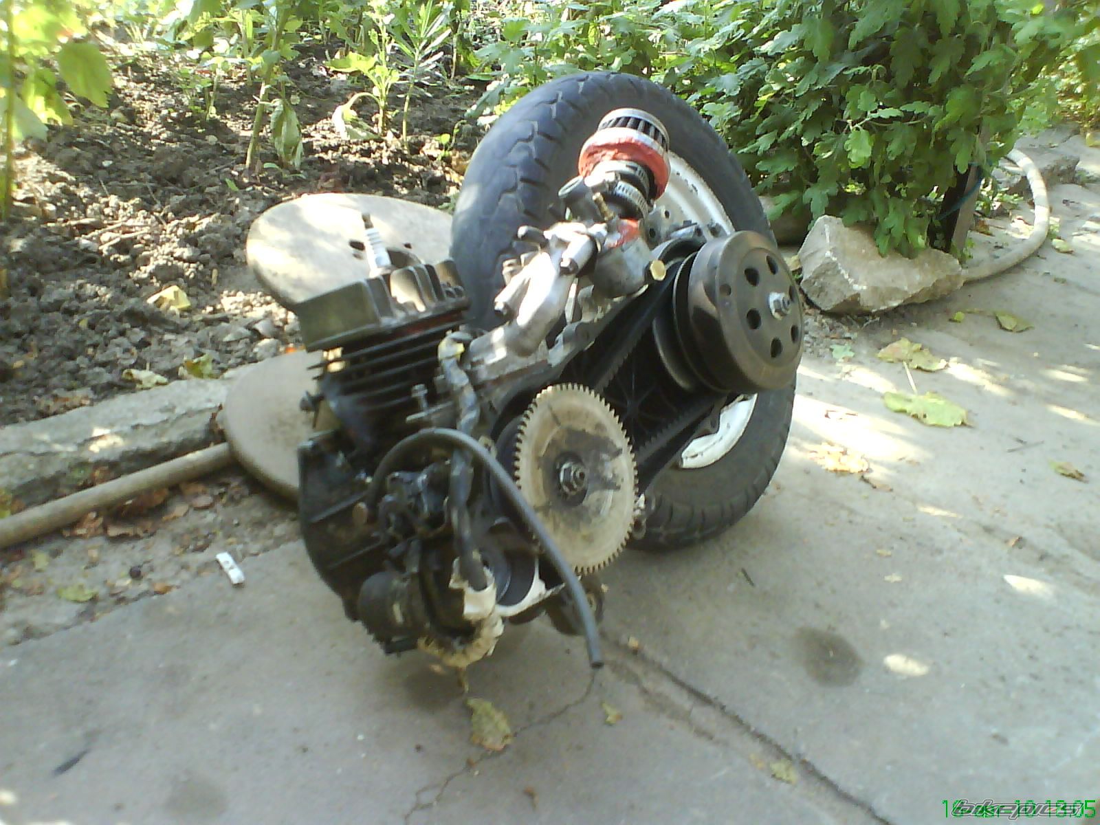 Photo 2068812