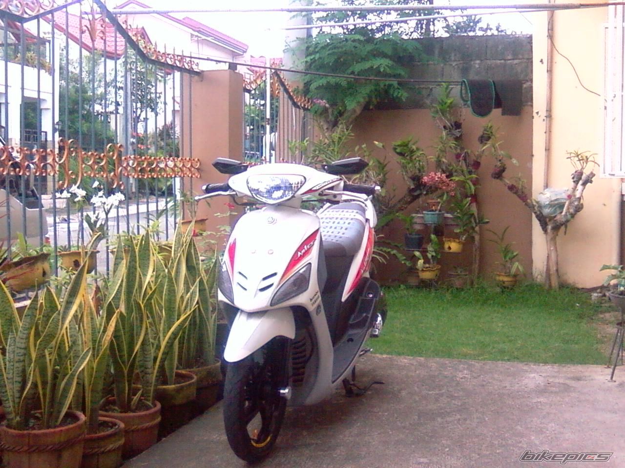Photo 2070936