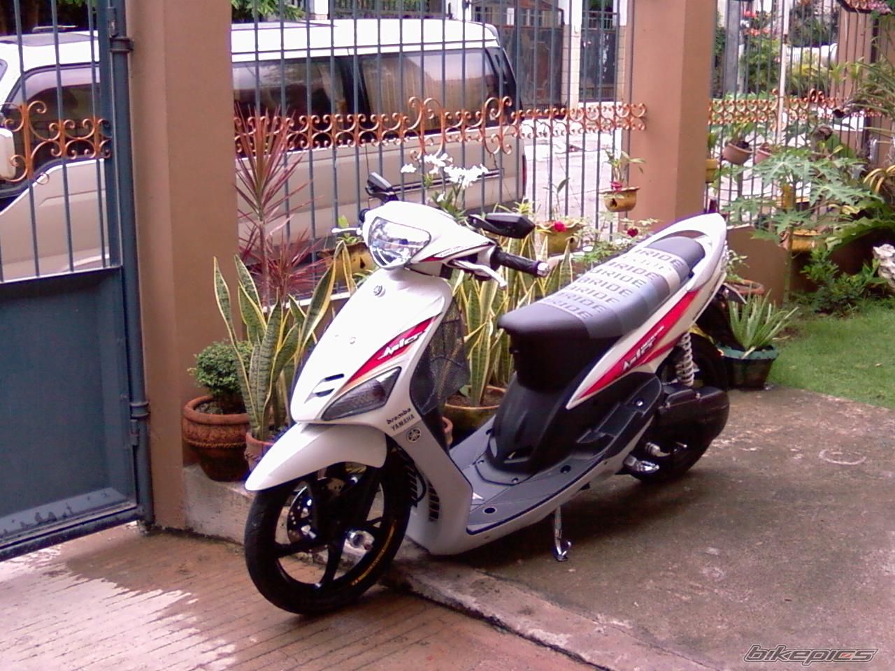 Photo 2070940