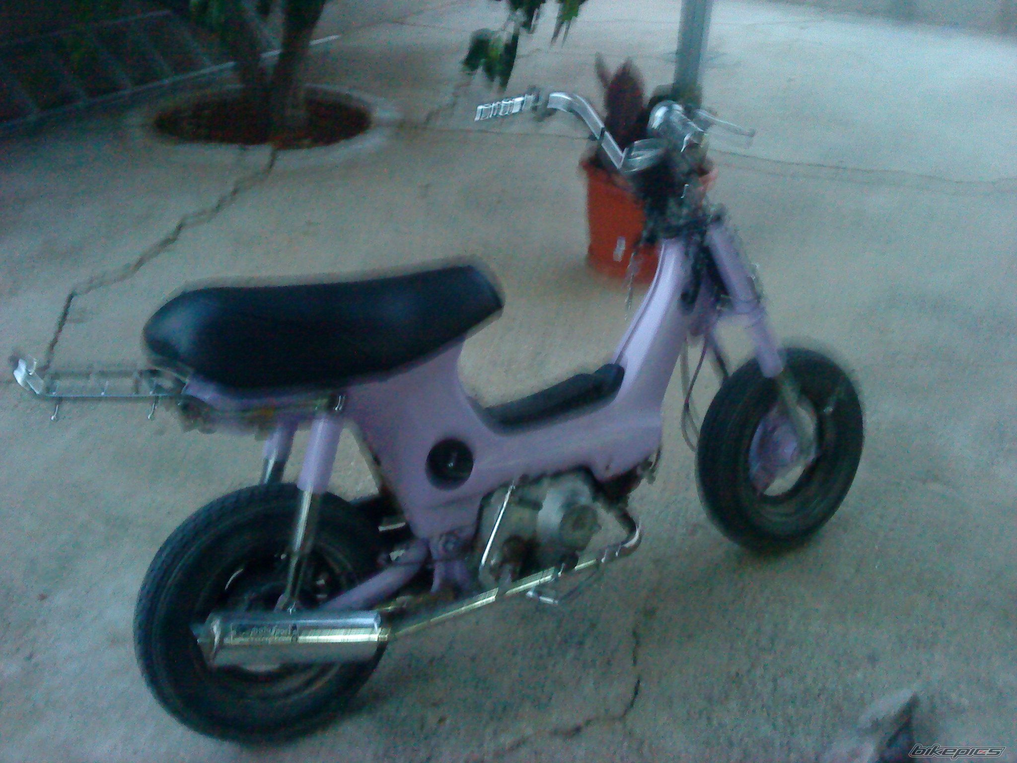 Photo 2074128