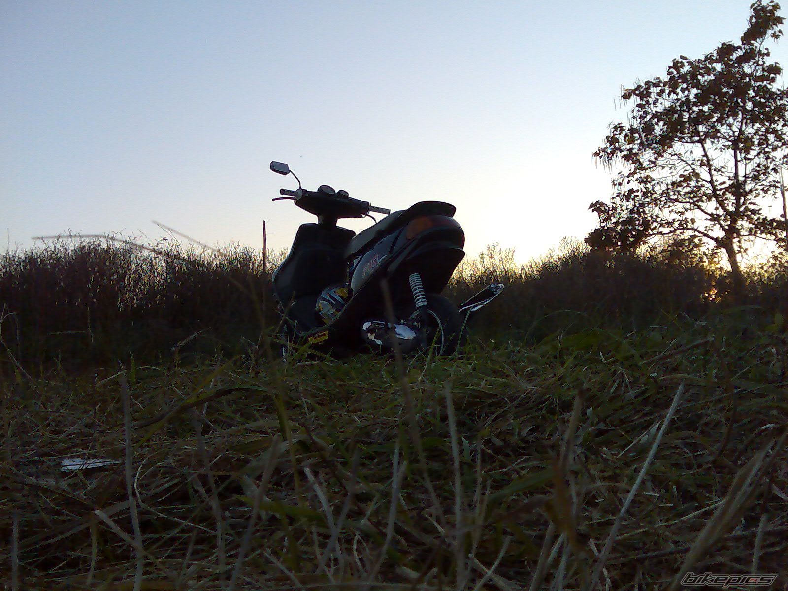 Photo 2076851