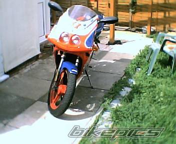 Photo 207728
