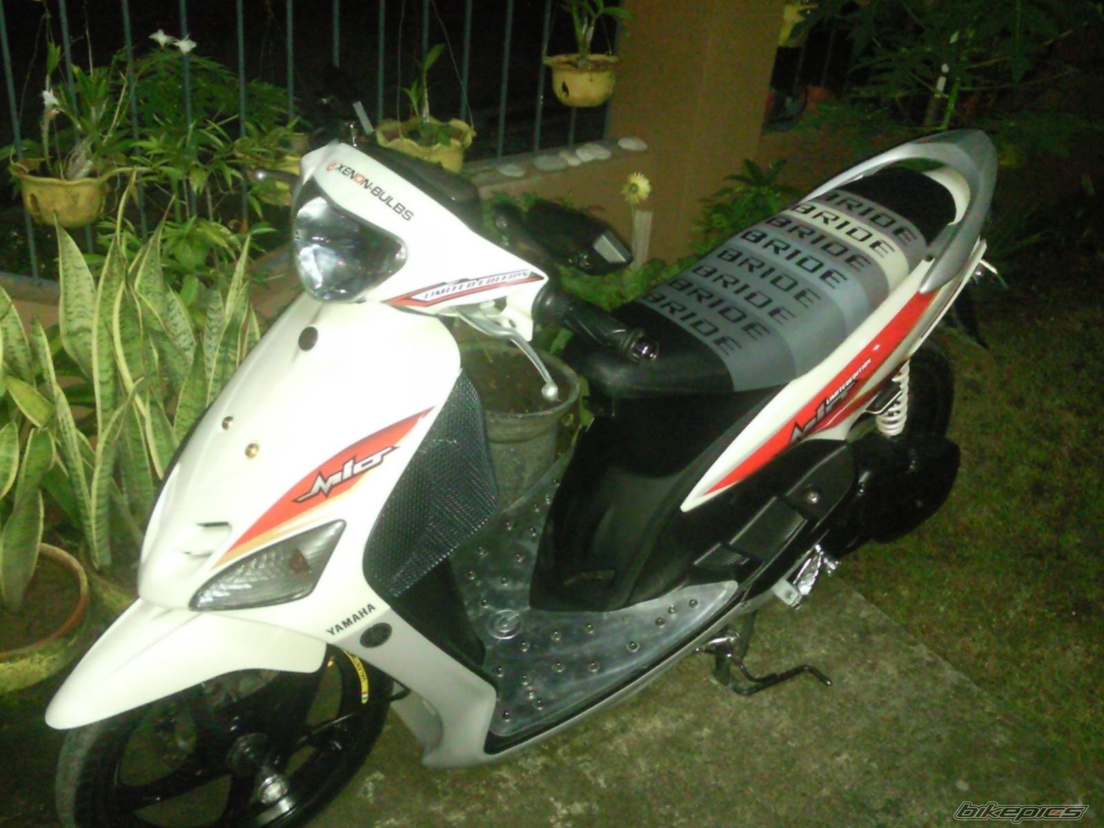 Photo 2081301