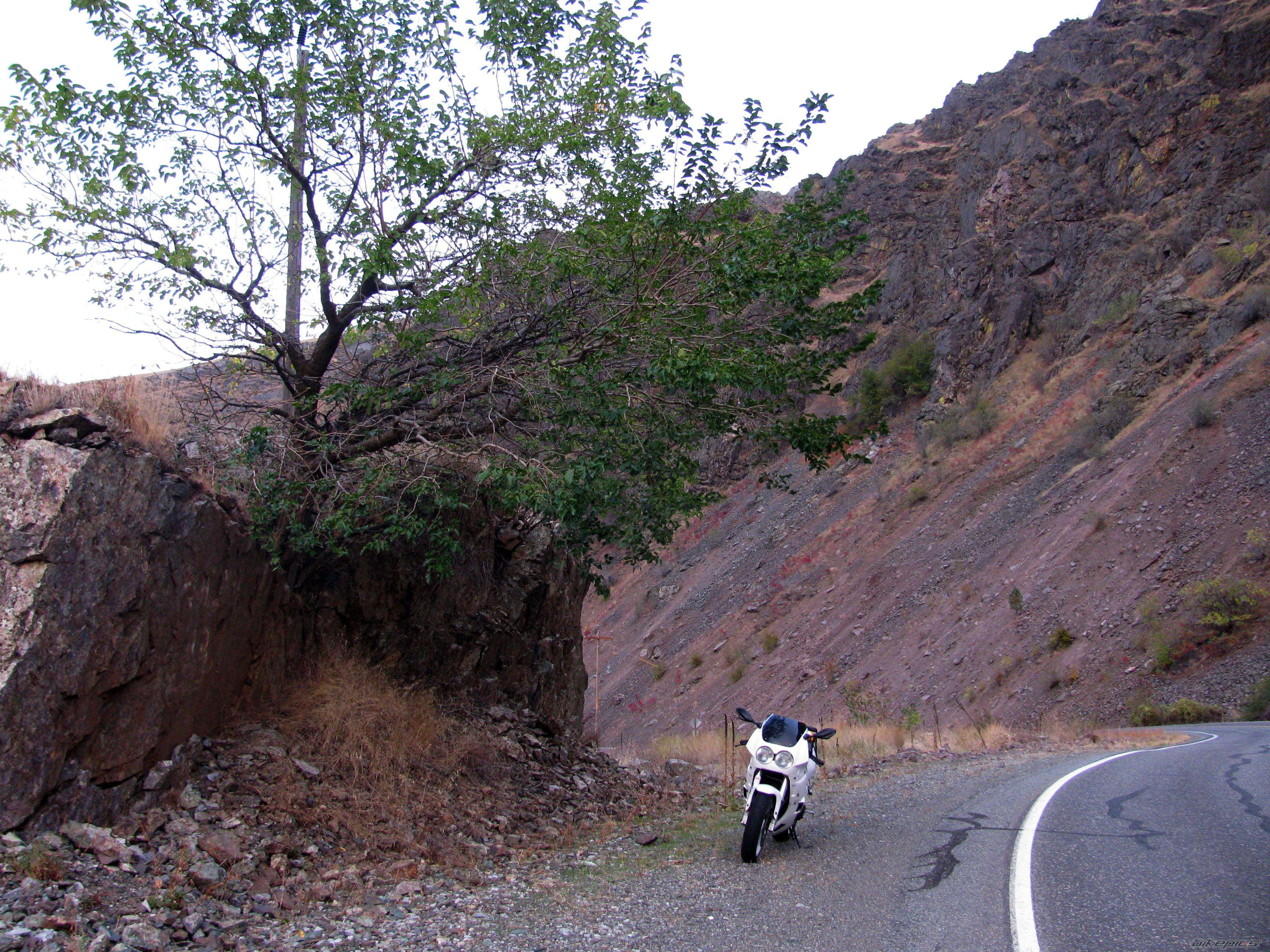 Bike Photo 2081456