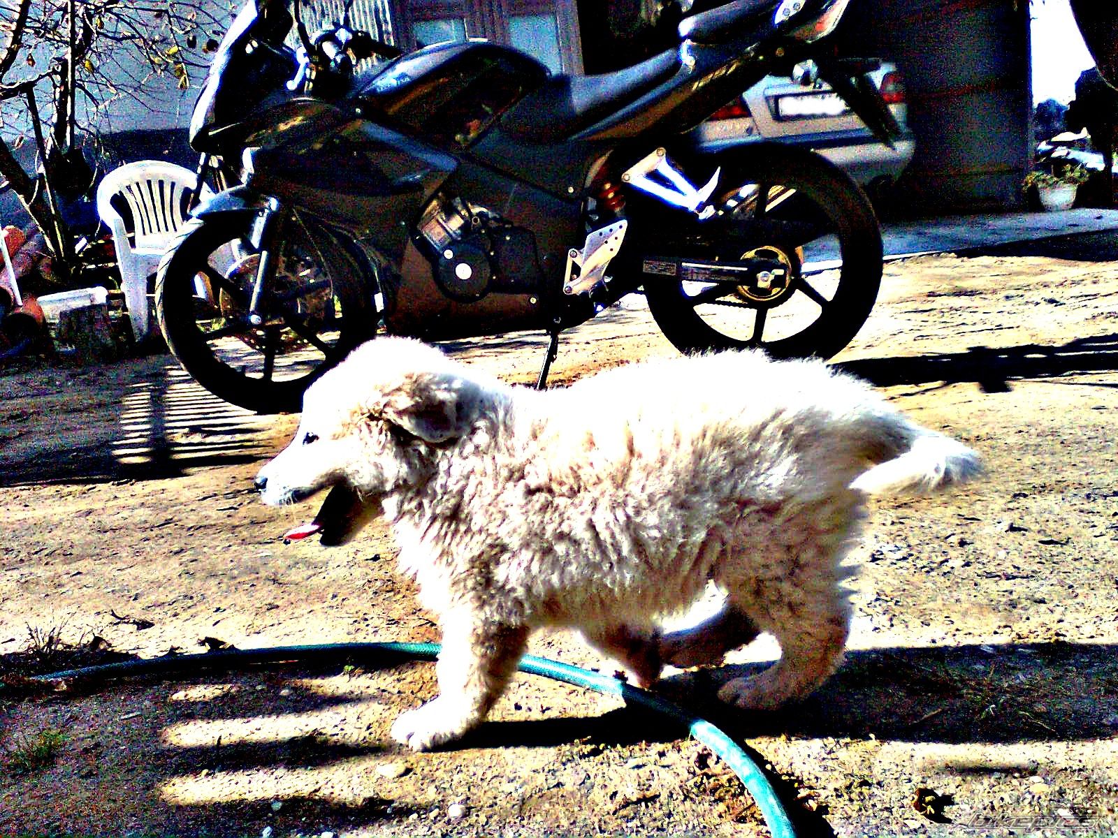 Bike Photo 2088656