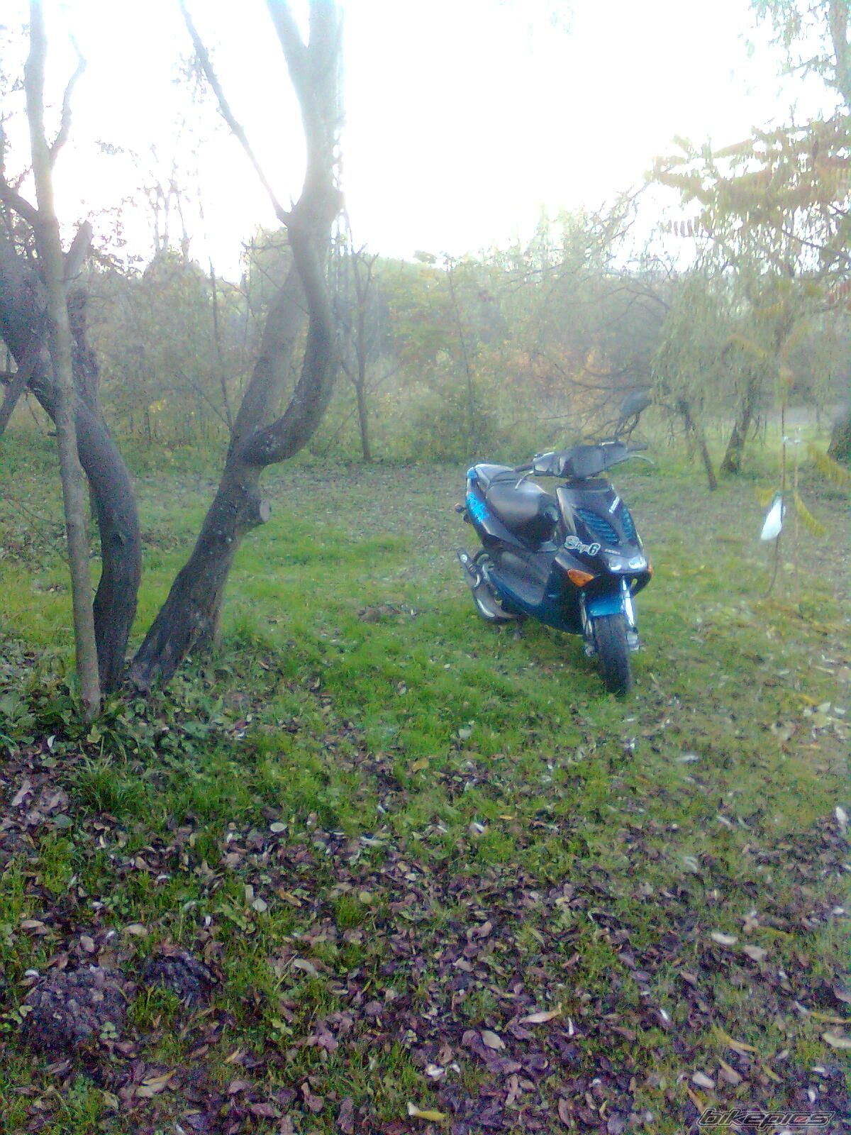 Photo 2094273