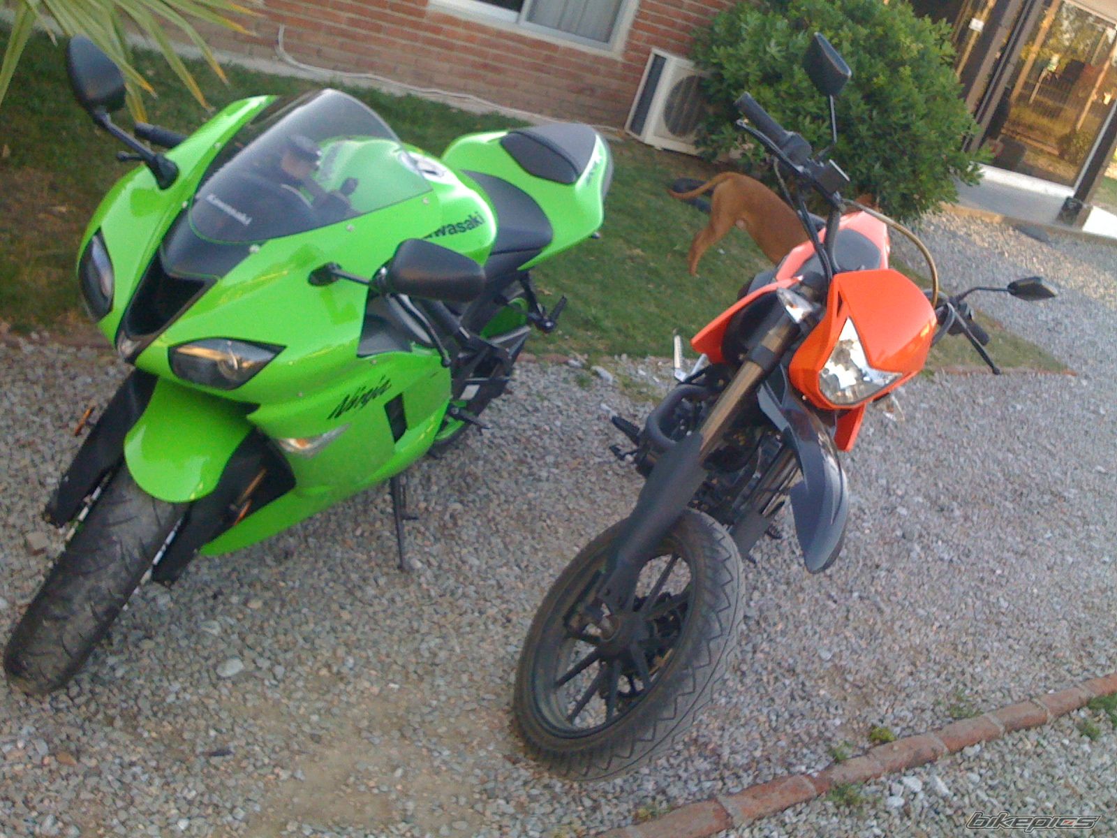 Photo 2094407