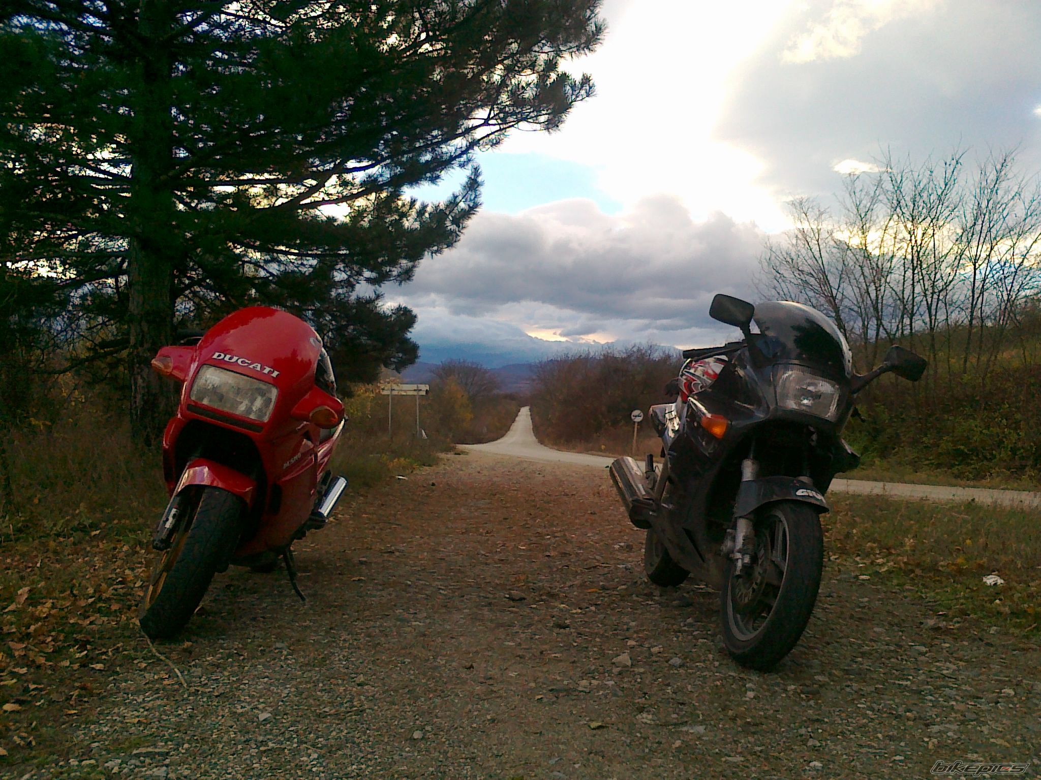 Photo 2095271