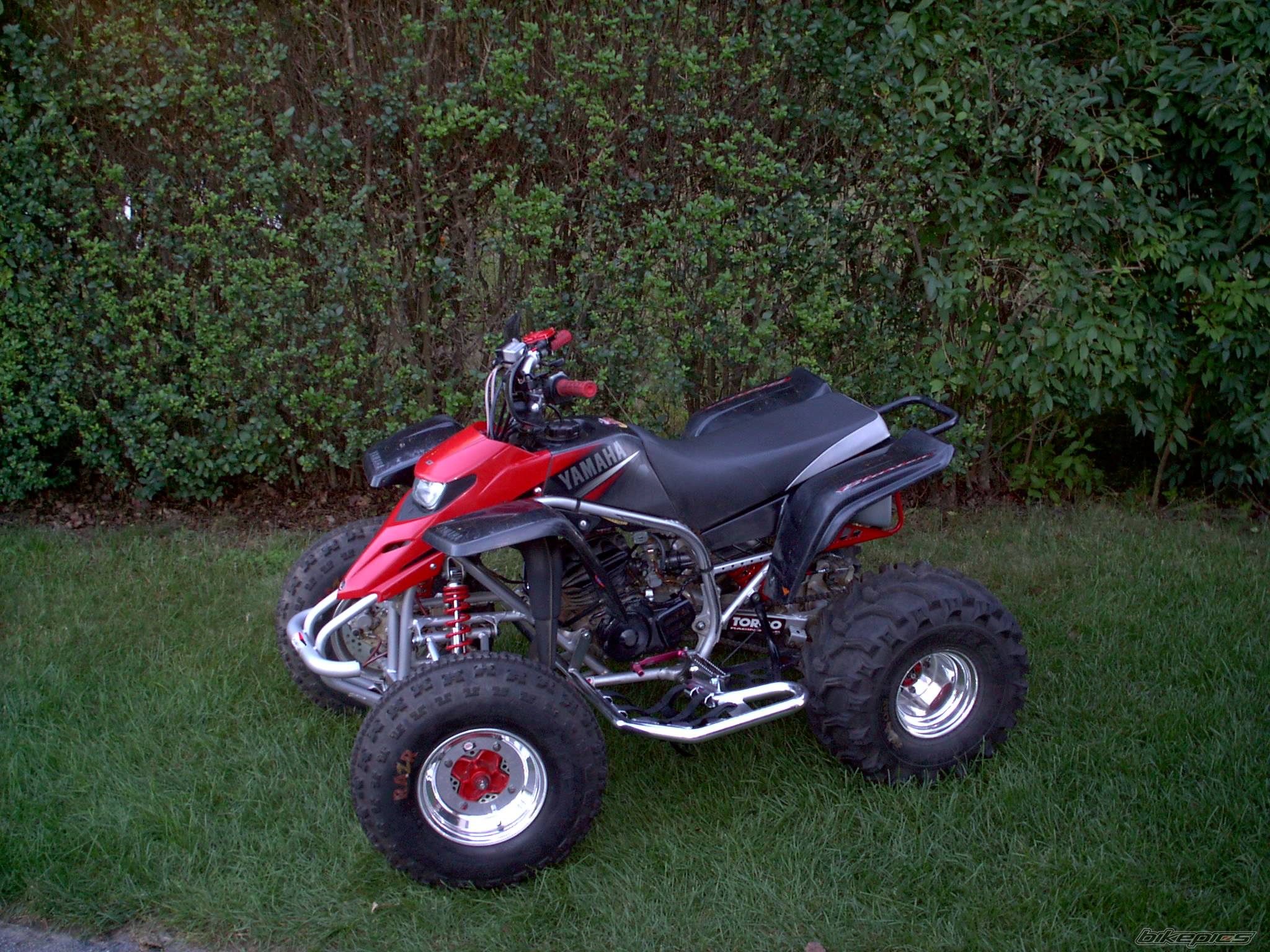 Photo 209718