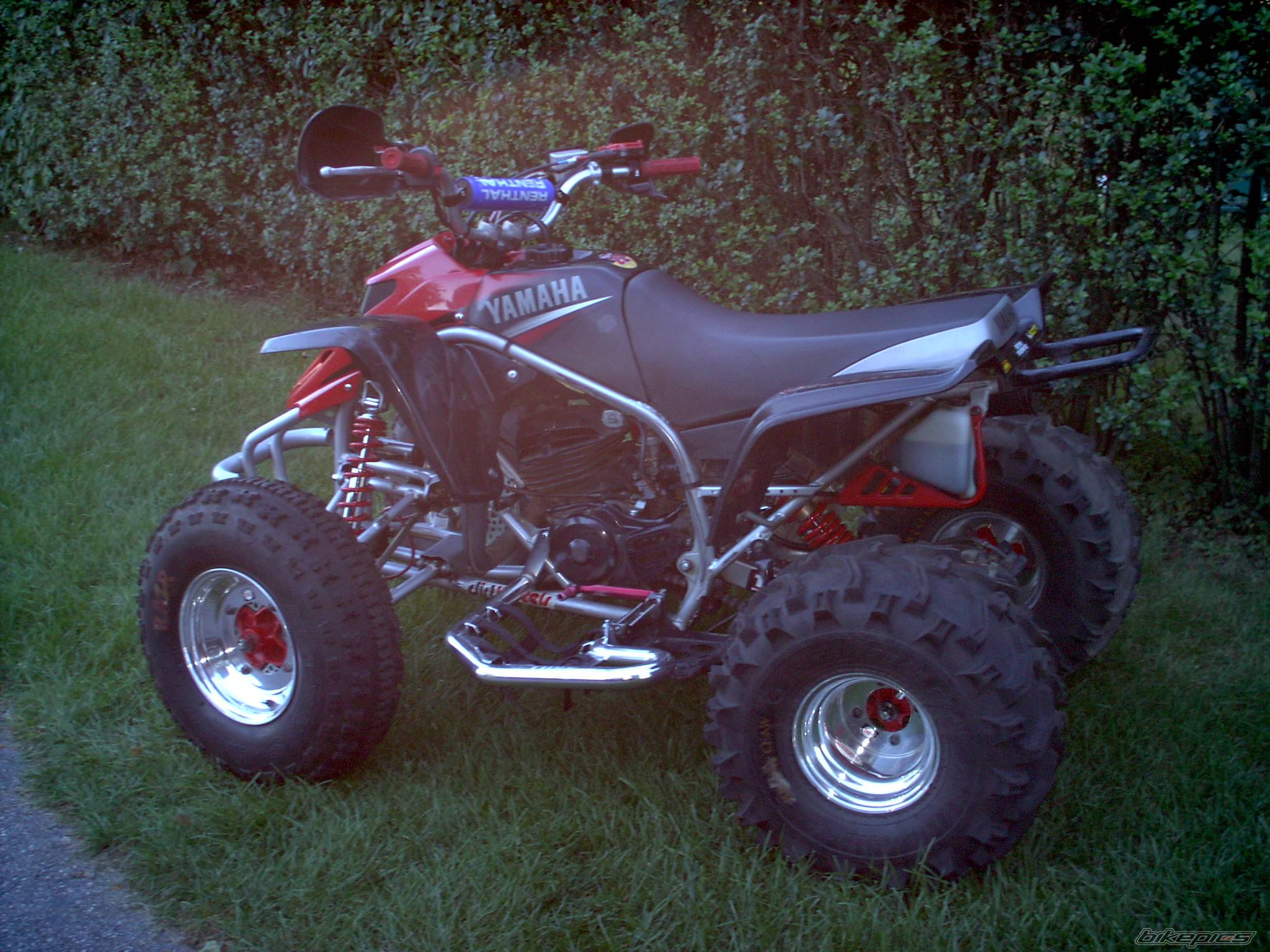 Photo 209727