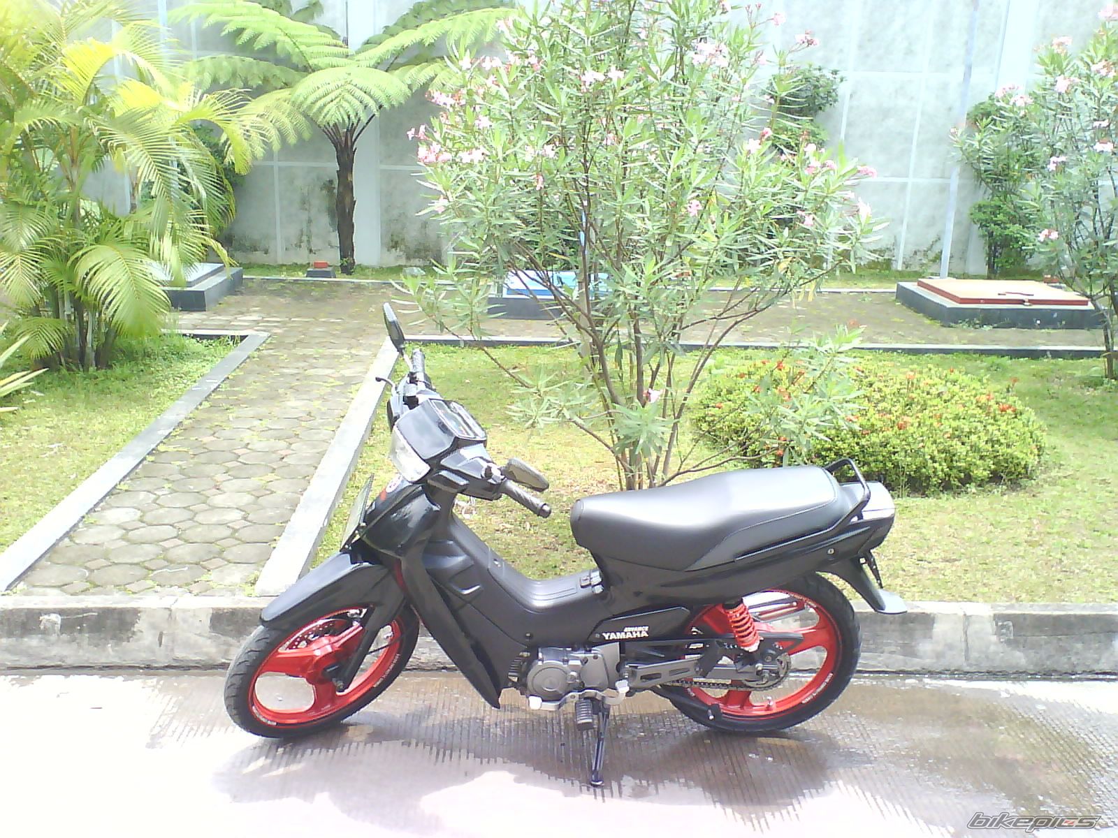 Photo 2099195