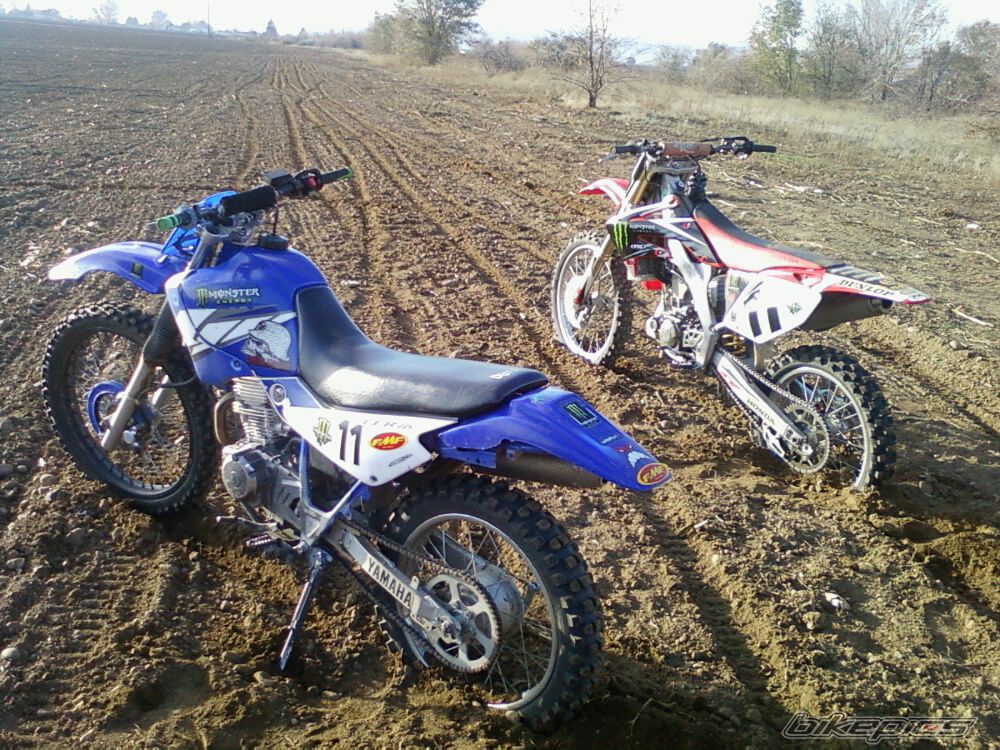 Photo 2100191