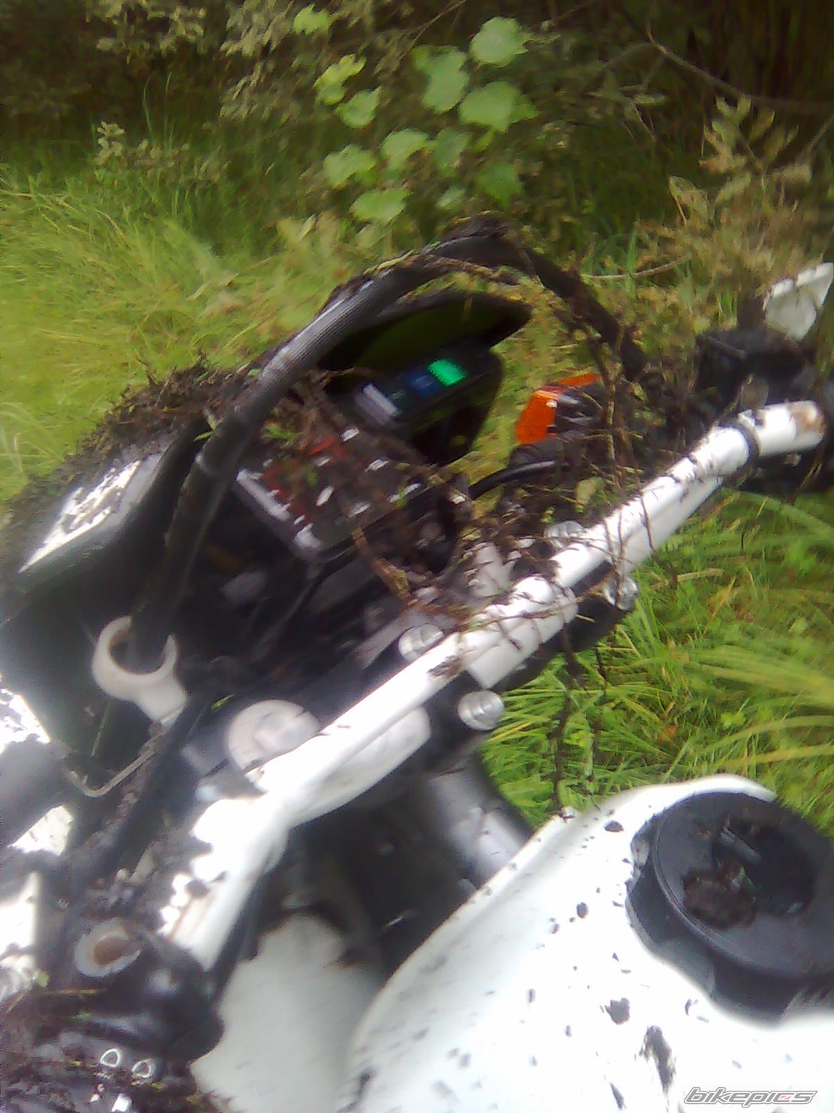 Photo 2100514