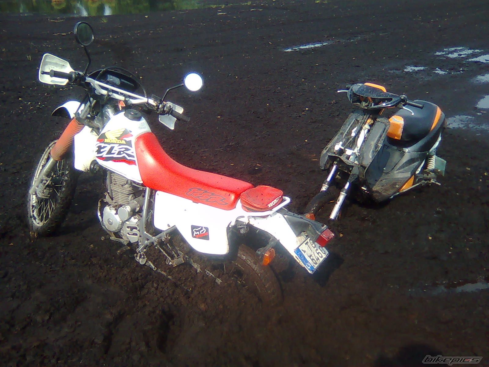 Photo 2100515