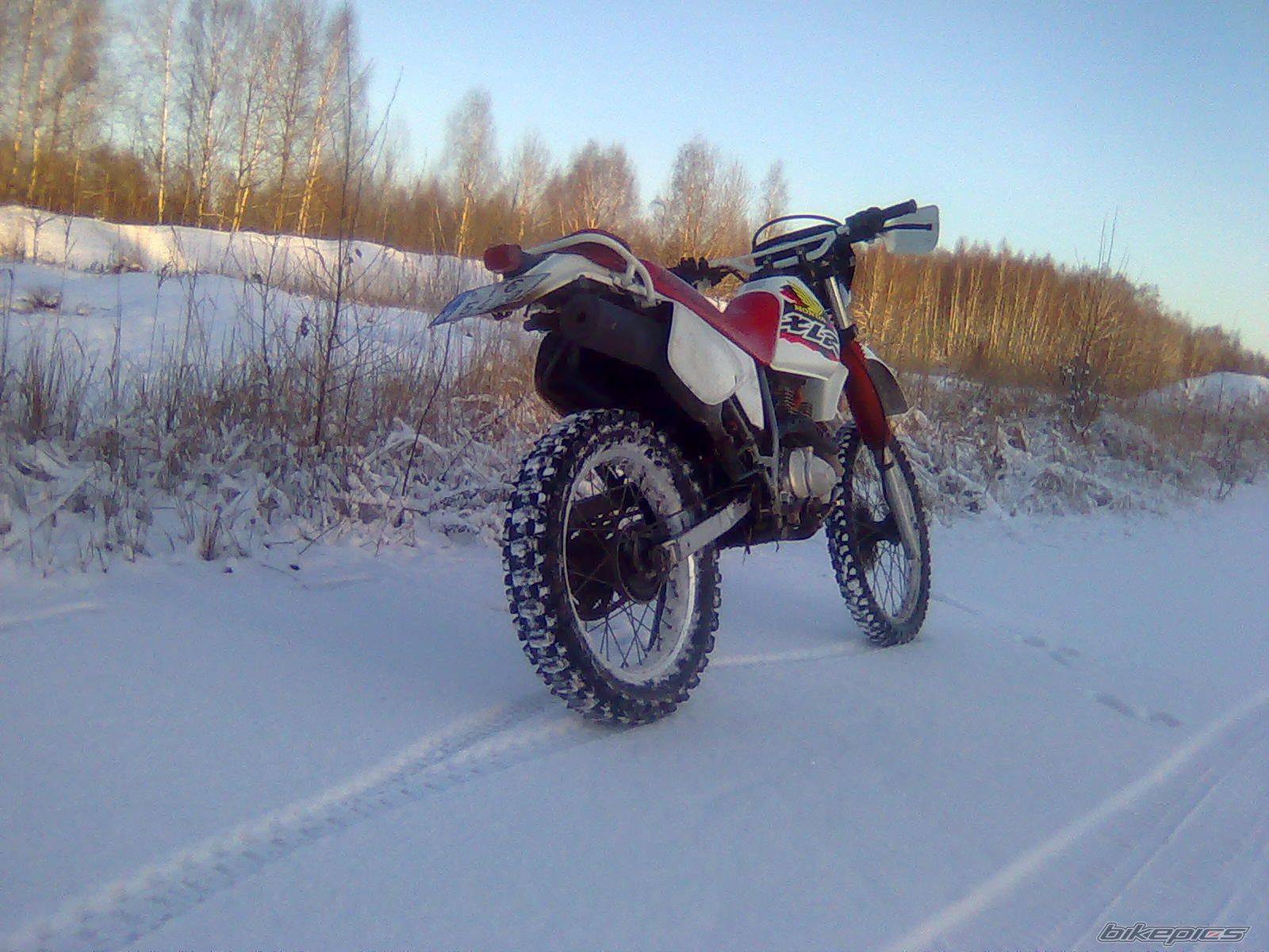Photo 2104972