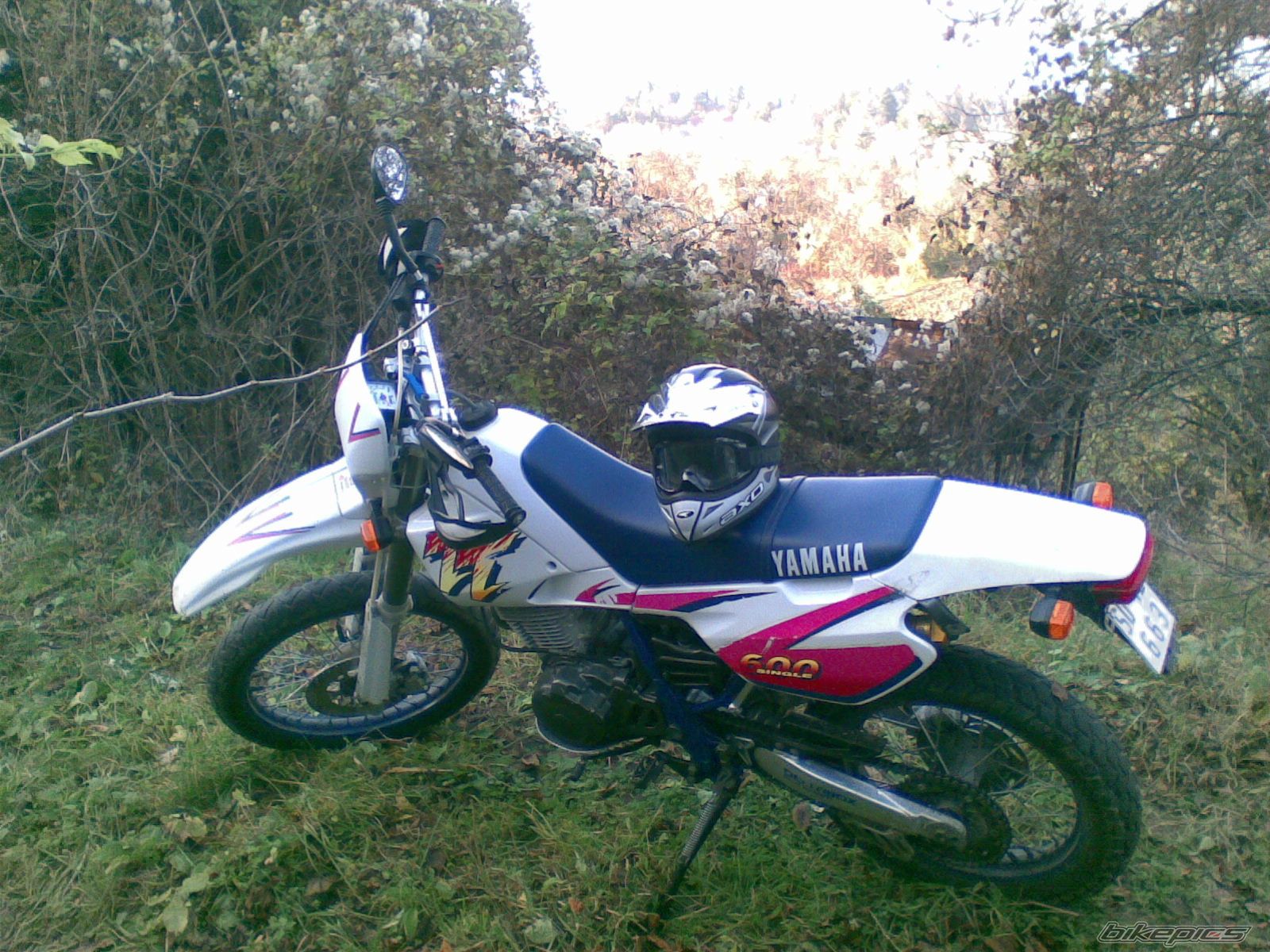 Photo 2109880