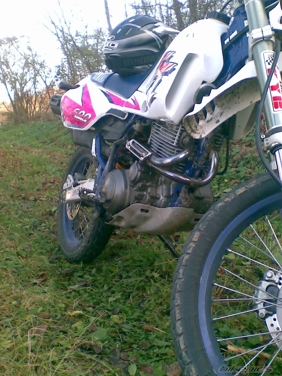 Photo 2109883