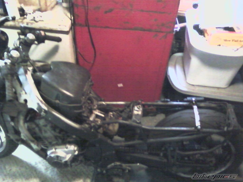 Photo 2121485