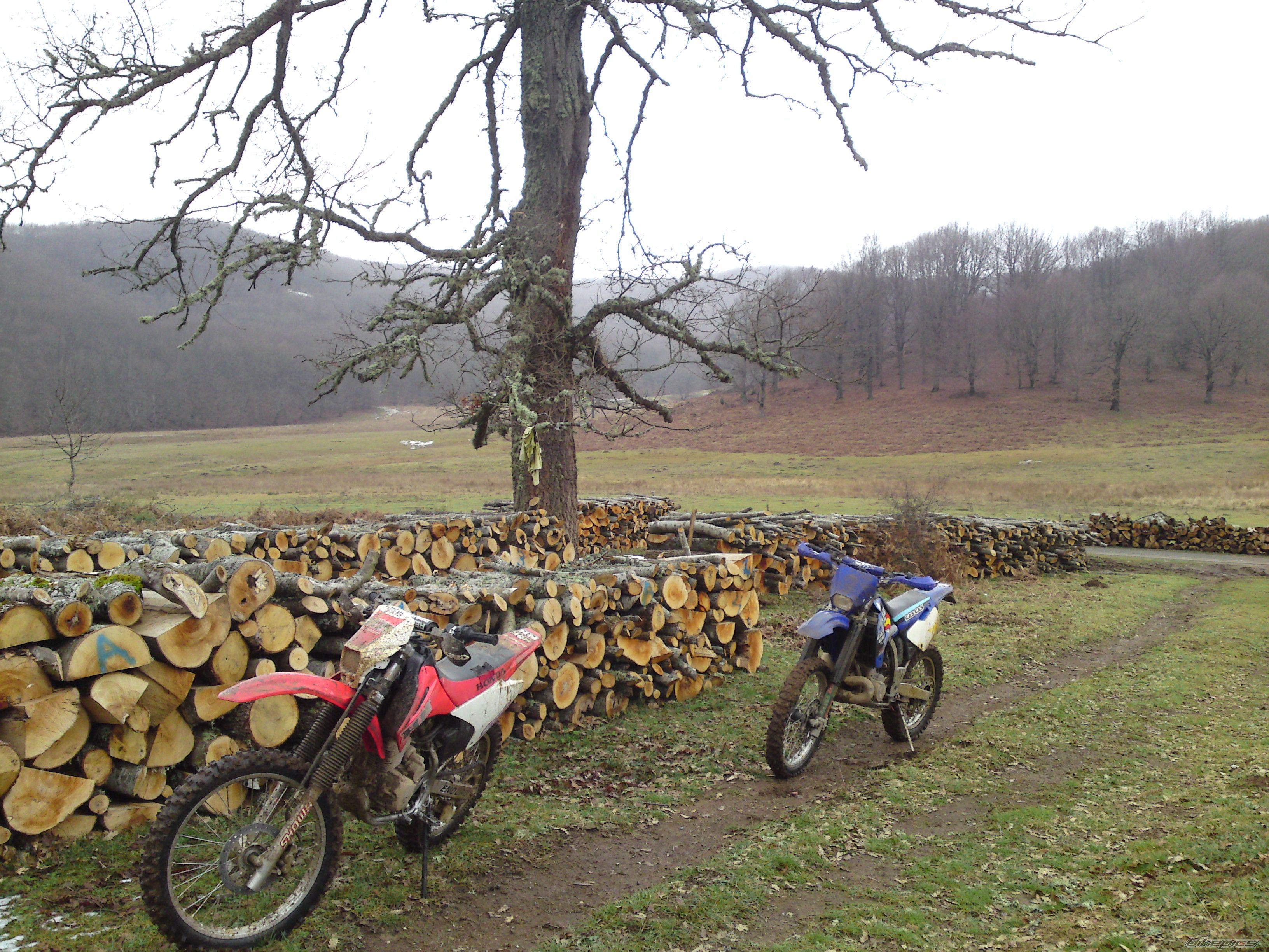 Photo 2121580