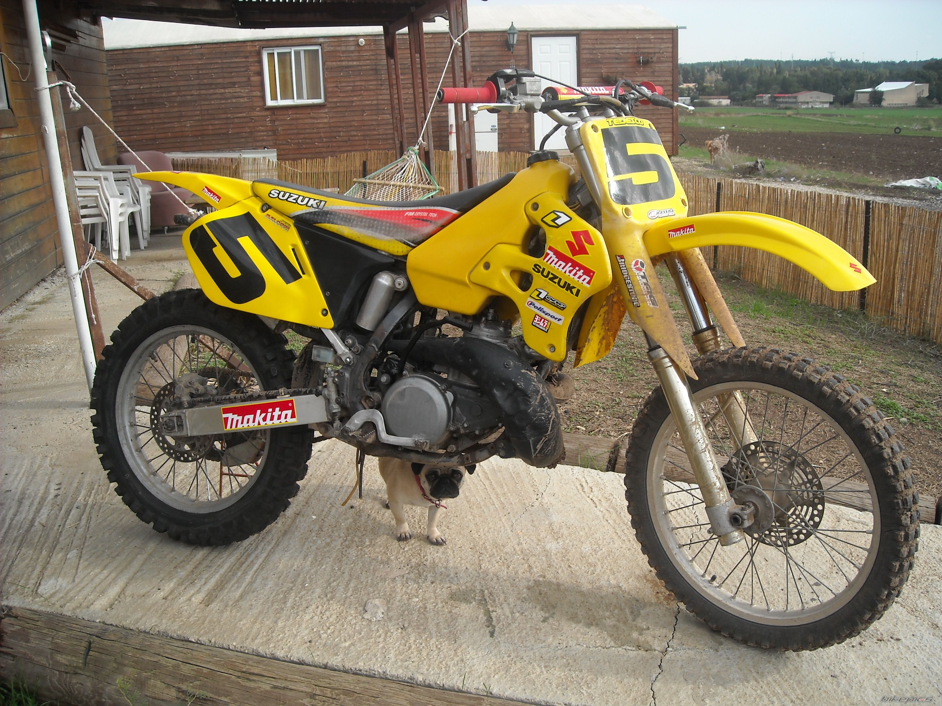 Photo 2125879