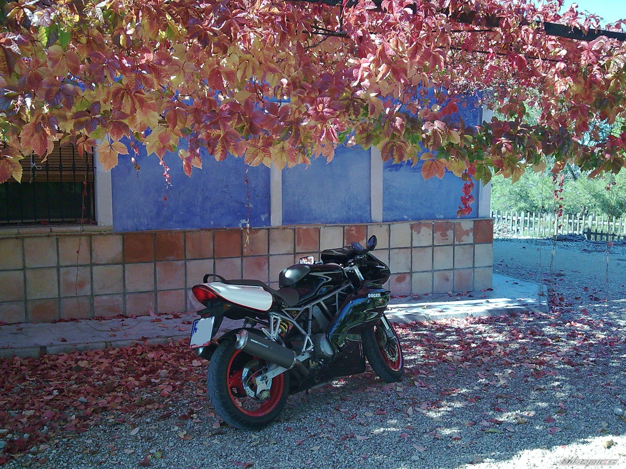Photo 2127557