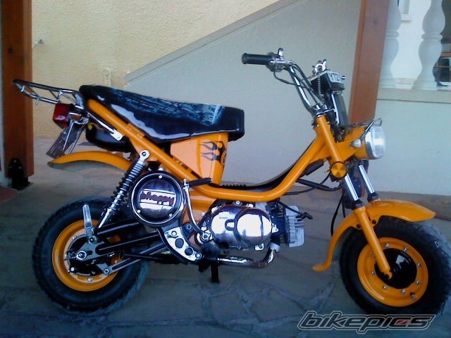 Photo 2128074