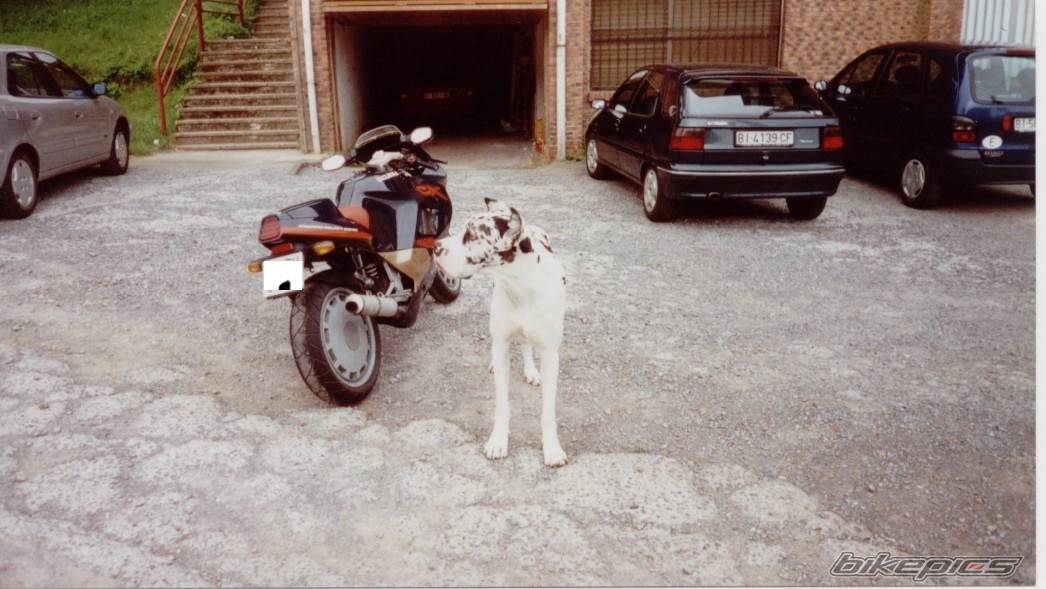 Bike Photo 212908