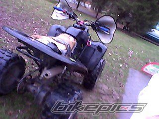 Photo 2135079