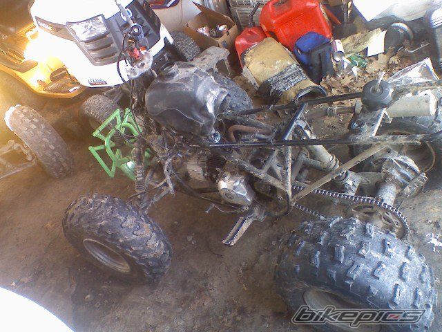 Photo 2135082