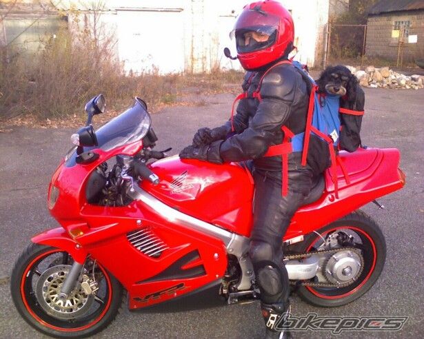 Bike Photo 2141307