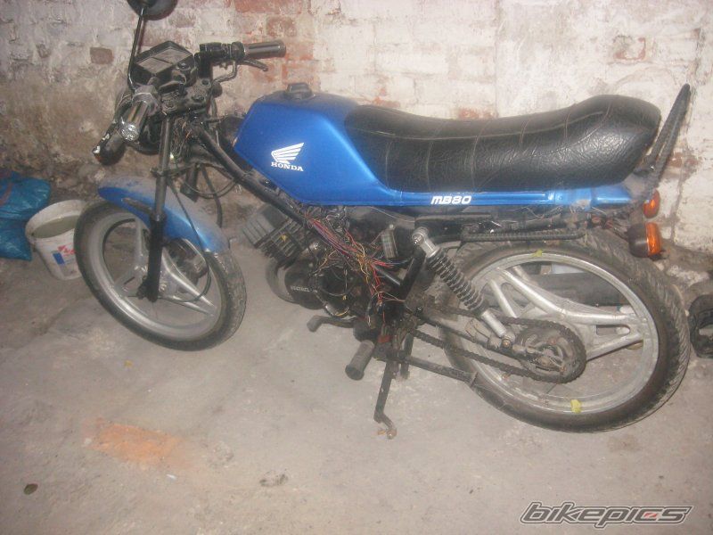 Photo 2141993